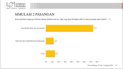 Beredar Survei LSI, Elektabilitas Airin Capai 77,3 Persen