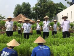 Sukses Panen Kangkung, Program SAE di Lapas Cilegon Makin Produktif